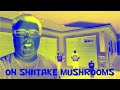 Oh Shiitake Mushrooms 2021 Effects Sponsored By Preview 2 Effects