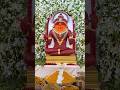 1000g Kesar Shringar Jai Shree Ram Shortsvideo Hanuman