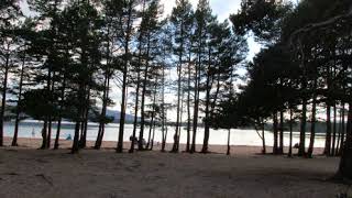 Patiently Waiting by Emma Forman