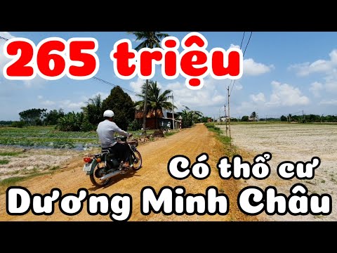 Bán 3 lô đất có thổ cư giá 265 triệu sổ hồng riêng ở Dương Minh Châu Tây Ninh hướng nhìn Núi Bà Đen
