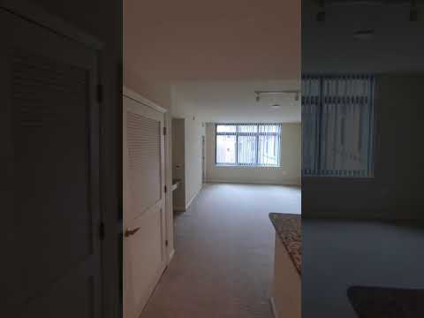 Take a Tour of Our Bach (1B) Floor Plan