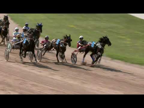 2021.06.06. 05. futam - HIPPODROM ÉS LOVARDA SPRINTER KUPA (NÜL-II.)