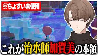治水師加賀美、パサパサこうやを水の楽園へと変えてしまう【にじさんじ切り抜き/加賀美ハヤト/ぽこ あ ポケモン】