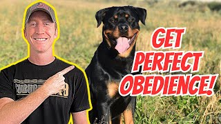 How to Train A Dog To Actually Listen To Their Obedience Commands