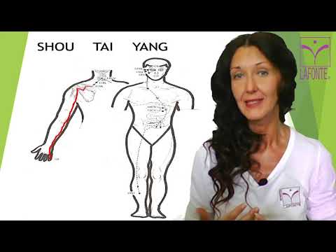 Meridiano Intestino Tenue TEORIA