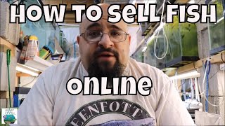 How to Sell Fish On Line ***Breeding for Profit***