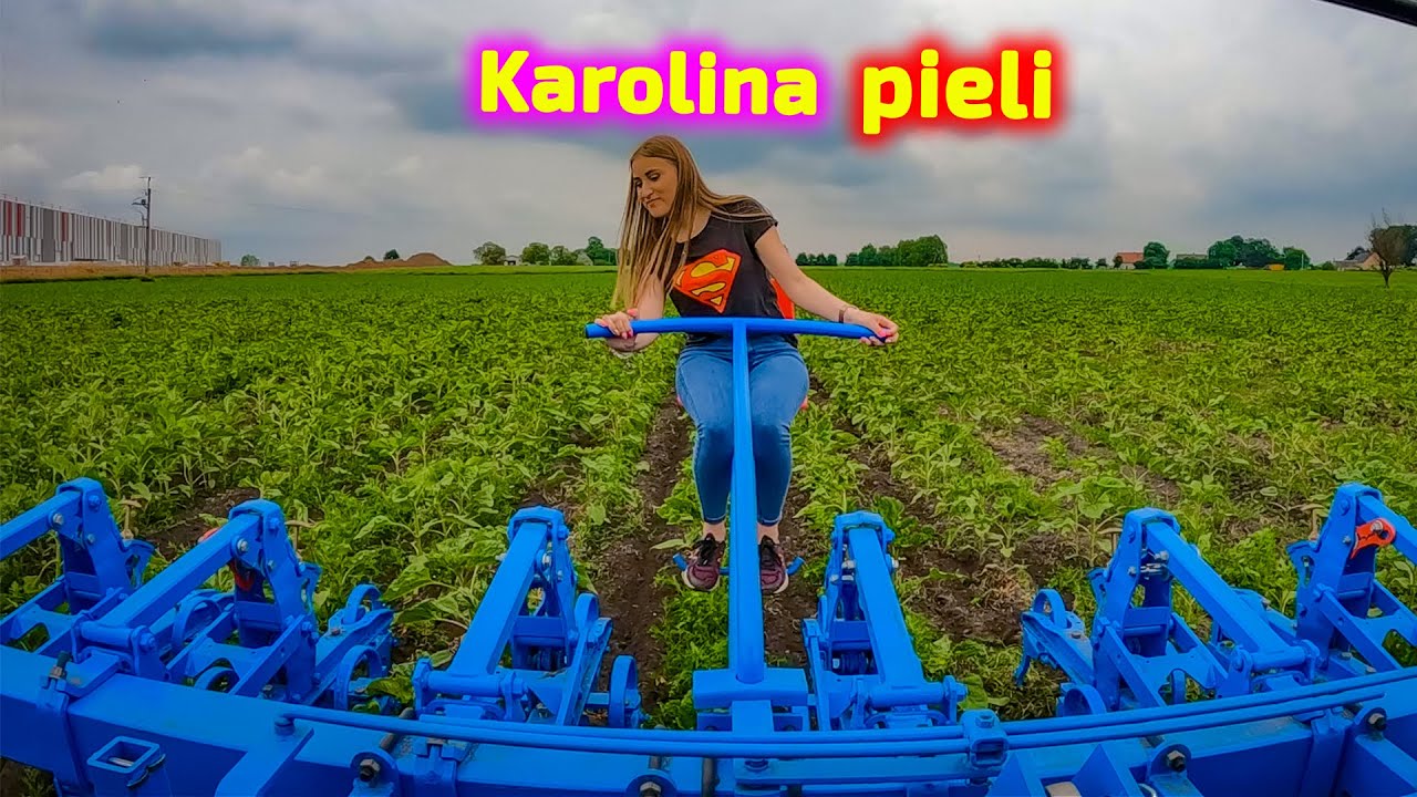 Karolina kieruje pielnikiem 👉 Janek kieruje ciągnikiem 👉 Pielenie słonecznika [Korbanek]