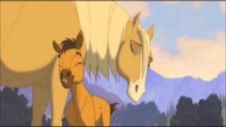 Denise De Kalafe. Señora Señora