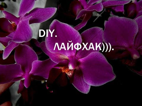 Что бы сделать с прищепками для орхидей?!))). Лайфхак.