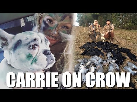 Carrie on Crows Carrie on Crows
