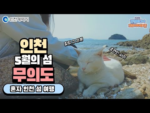 인천시ㅣ인천 5월의 섬 무의도