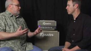 Egnater Amplification Rebel-20 Guitar Amplifier