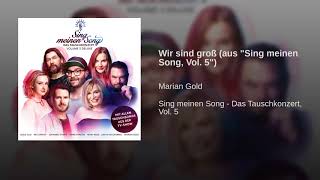 Wir sind groß (aus "Sing meinen Song, Vol. 5")