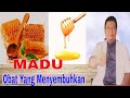 11 Manfaat Madu Murni Bagi Kesehatan Tubuh Kita