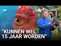 Huiskip is razend populair tijdens de crisis