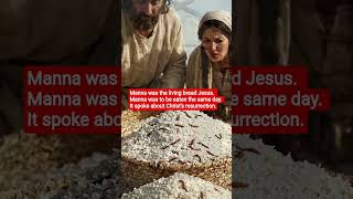 Manna represented Jesus. The Manna was not to be left for the next day. It spoke of the resurrection