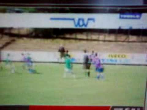 Dendermonde - Dosko Beveren