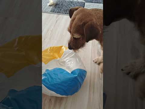 Max vs. obří míč