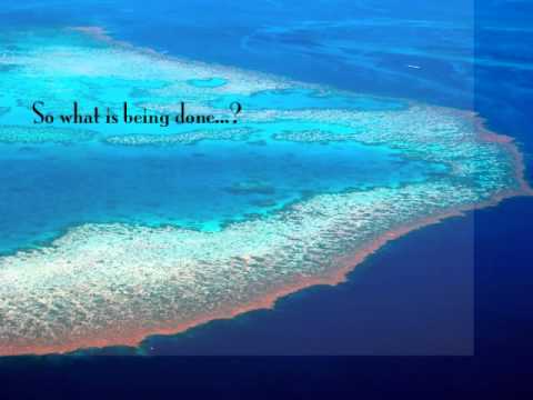 Great Barrier Reef Case Study