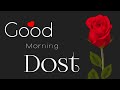 Good Morning Dost Whatsapp Status Morning Wishes Good Morning Videos Hindi Shayari Lyrics
