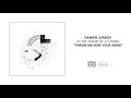 Damien Jurado - "Throw Me Now Your Arms" (Art Track)