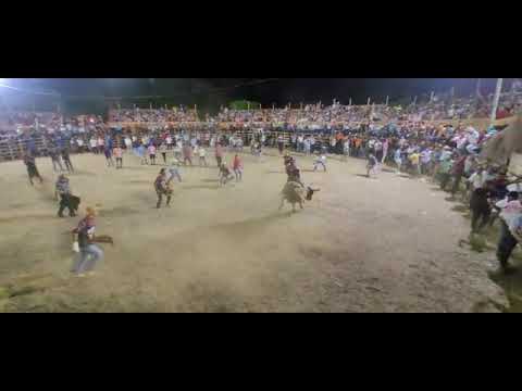 Los Ranchos 2023.               Toro: El Rosco.              Montador: Cristofer Espinoza