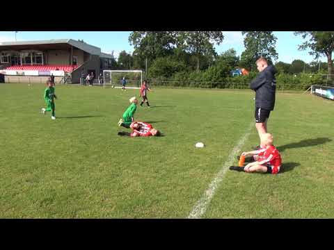 vv Steenwijk 8-1 - LTC Assen 8-1 + 8-2 - Alcides 8-1 - vv Heerenveen J8-2 - Toernooi - Kampioen