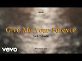 Zack Tabudlo - Give Me Your Forever (Lyric Video)