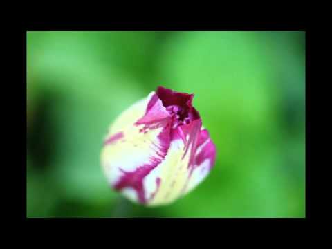 Engel-Botschaften während der Rauhnächte: März 2016