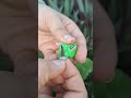 500 anh em đã thử chưa😂 #candy #nhachaymoingay #funny