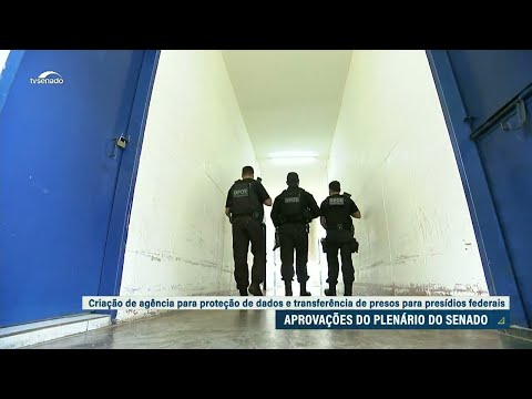 Plenário aprova prisão federal para quem mata policial