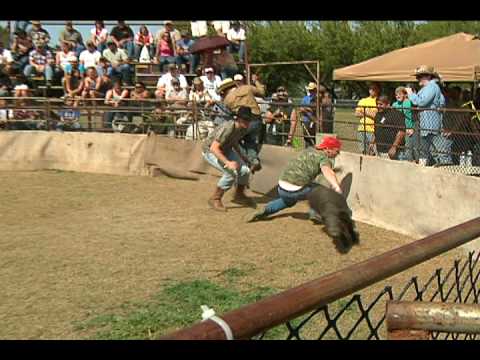 2010 Wild Hog Wrestling/Catching Championships - Wes W.