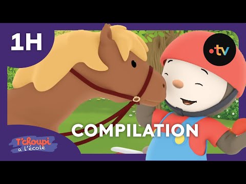 T'choupi à l'école 🌟 NOUVELLE COMPILATION  !!! 1h 🌟 Dessins animés pour enfants