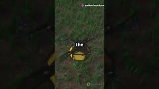 Revolutionary Small Object Detector in Remote Sensing #revolutionary #remote #sensing #detector