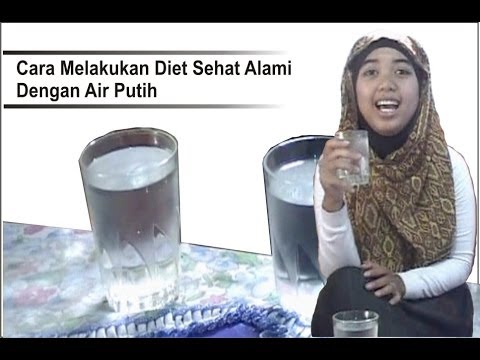 diet alami sehat dogposts