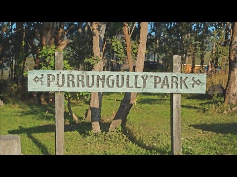 Purrungully Park   210925
