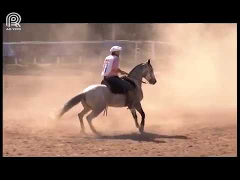 Classificatória Sapucaia (RJ) – 2° lugar fêmeas – El Barqueiro 38 Pehunia (Prova: Bayard/Sarmento)