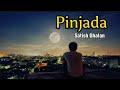 Satish Ghalan New Song || PINJADA ( Mero mana chari vaye timro mana pinjada )|| [ lyrics video ]