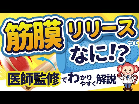 筋膜リリース – 概要、メリット、やり方