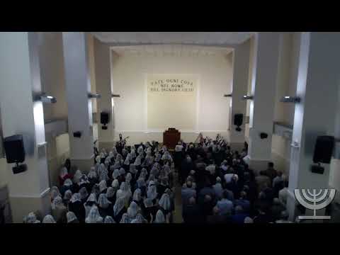 2019-10-27 Domenica Mattina - Fr Gemelli - Salmo 91