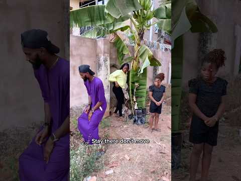 Human head in the bag