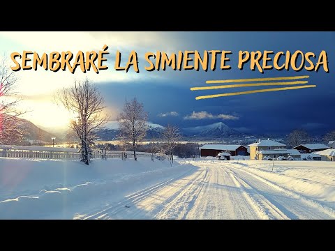 SEMBRARÉ LA SIMIENTE PRECIOSA | Himno Majestuoso #536