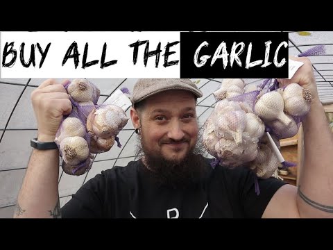 What Garlic Varieties Did I Buy For The Garlic Farm