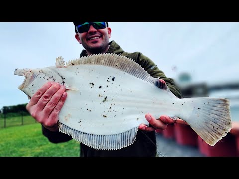 Preseason Fluke Madness - Flounder Limits from Shore - Fishing with Single Jig!