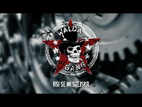 Walda Gang   - Asi se mi stejska (Official Audio)