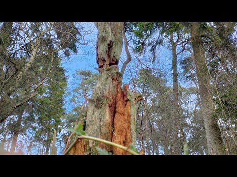 Lexmoto Kiden Aquarius 125G Fairings & a full bike breaking for parts on Yellmoto