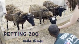 PETTING ZOO in Ocala, Florida