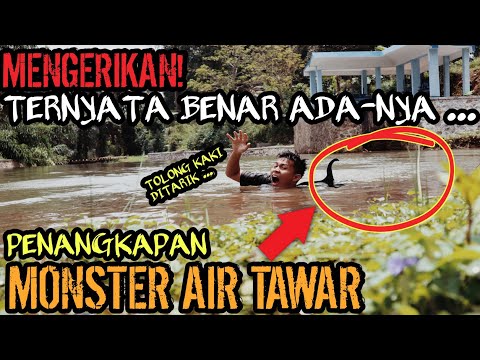 MENGERIKAN! PENANGKAPAN MONSTER AIR YANG DITAKUTI WARGA! TERNYATA BENAR ADANYA!