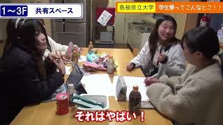 動画のサムネイル