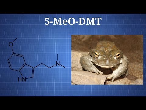 5-MeO-DMT: What You Need To Know